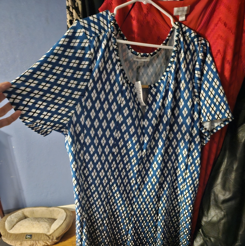 Beautiful Avenue NWT plead design dress size 30/32
